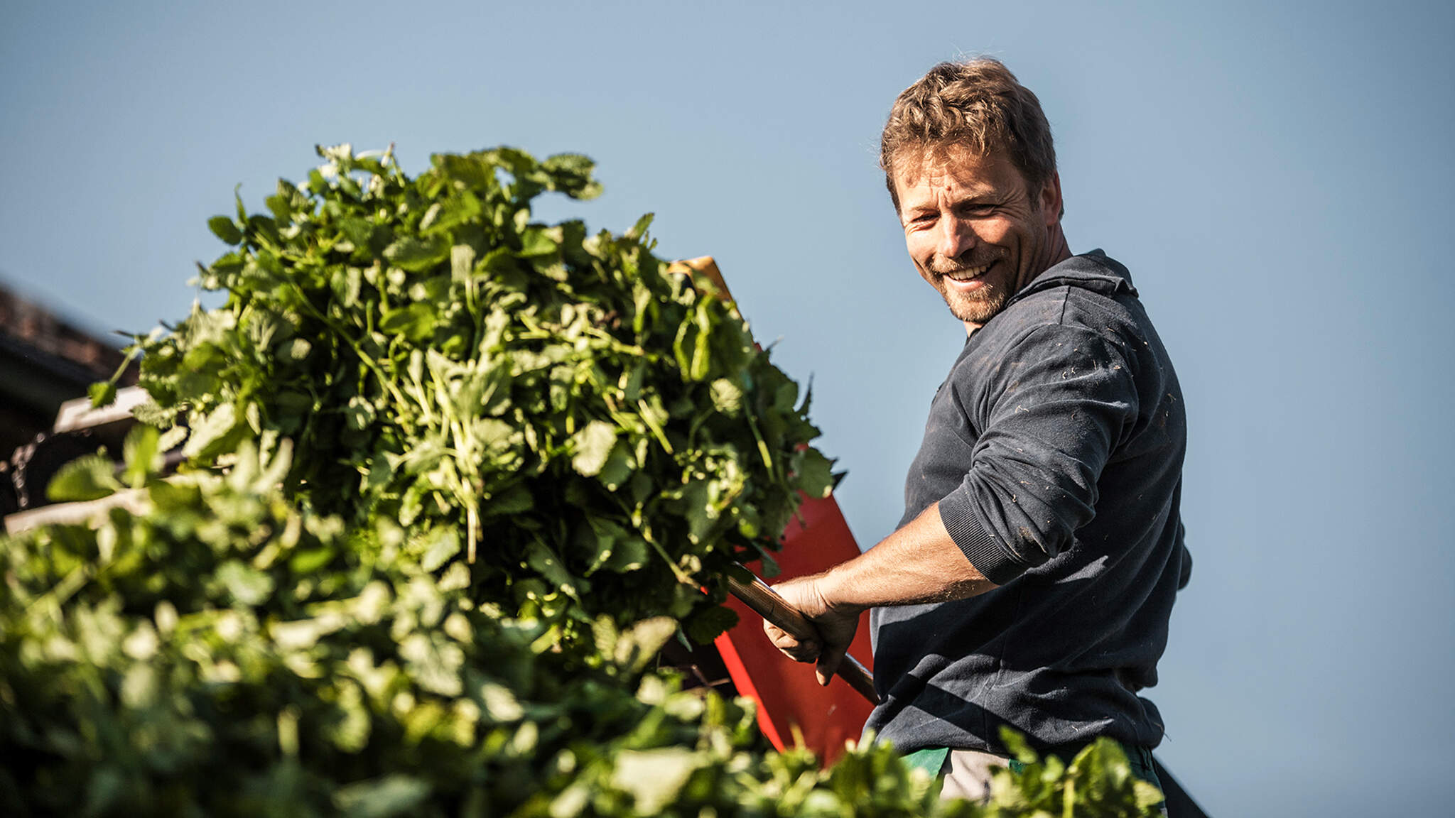 The carbon footprint depends on the entire process. Picture: Ricola